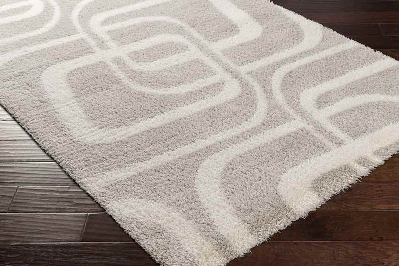 Bradgate Modern Light Gray Area Rug