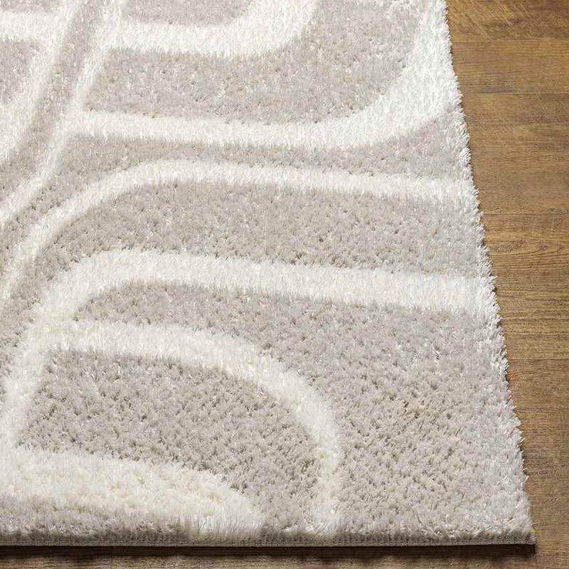 Bradgate Modern Light Gray Area Rug