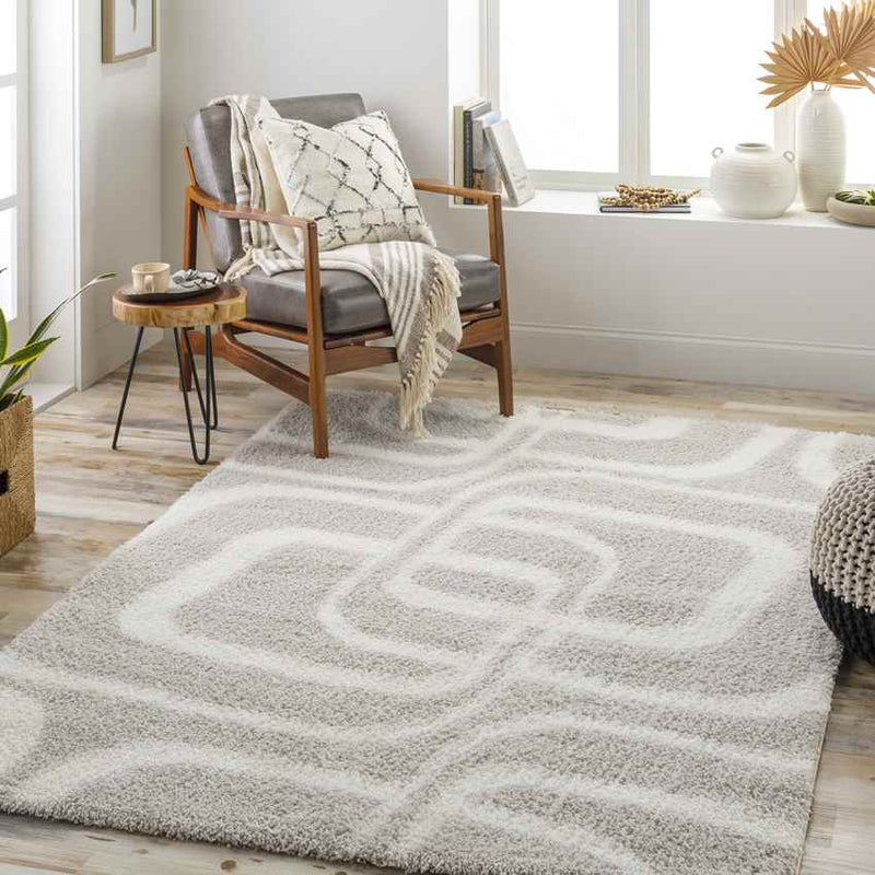 Bradgate Modern Light Gray Area Rug