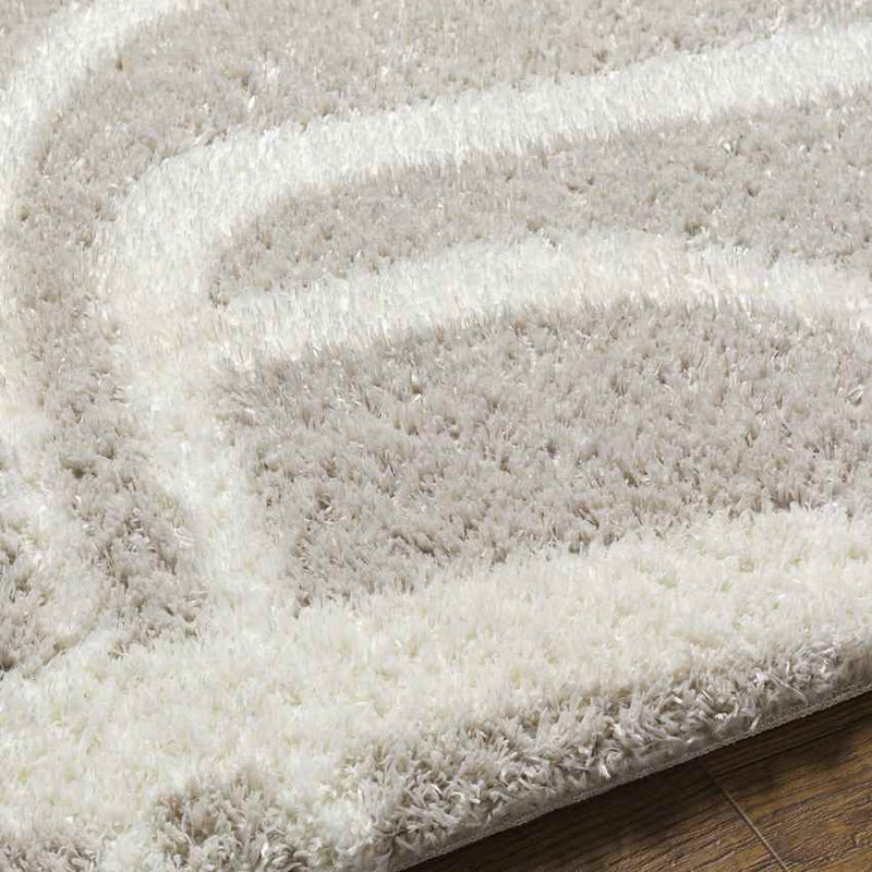 Bradgate Modern Light Gray Area Rug