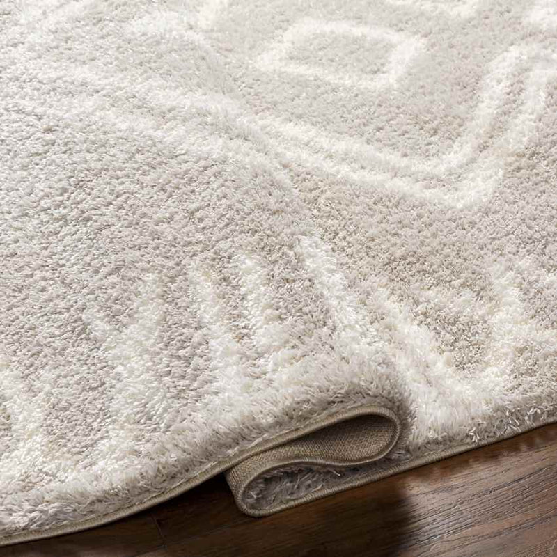 Brayton Global Light Gray Area Rug