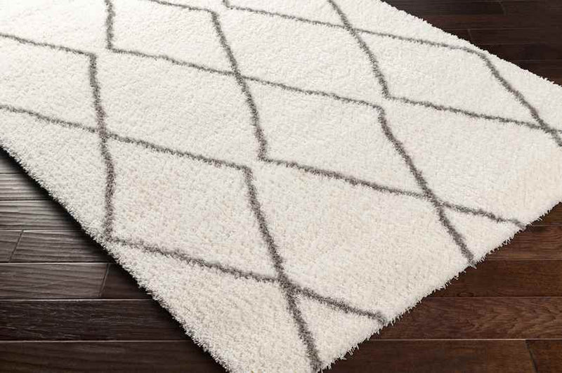 Bristow Modern Ivory Area Rug