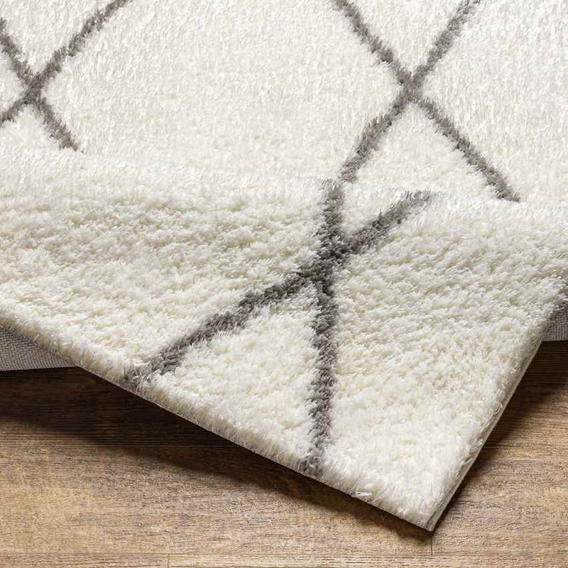 Bristow Modern Ivory Area Rug