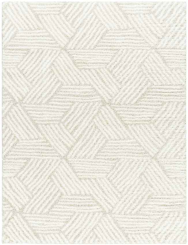 Brooke Modern Beige Area Rug