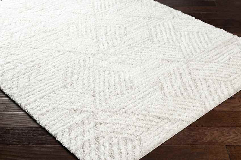 Brooke Modern Beige Area Rug