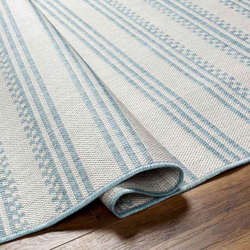 South Global Light Teal Area Rug