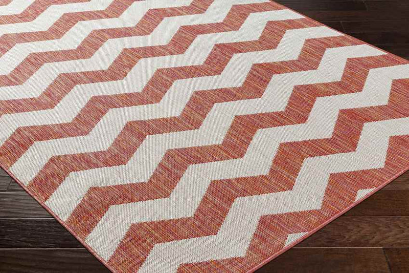 Spring Global Dark Coral/Ivory Area Rug