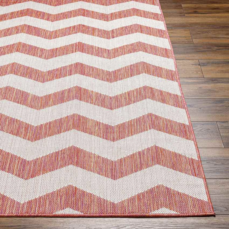 Spring Global Dark Coral/Ivory Area Rug