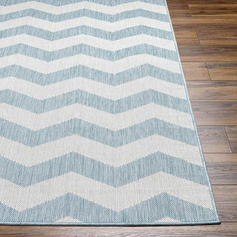 Spring Global Sky Blue/Ivory Area Rug