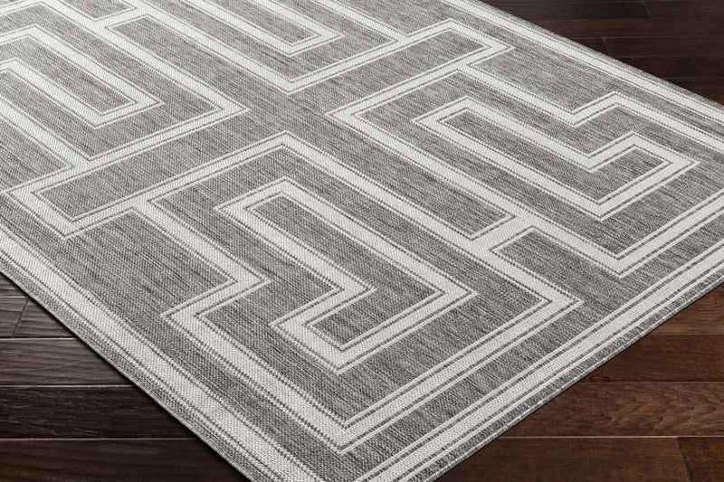 Sylvia Global Dark Gray/Ivory Area Rug