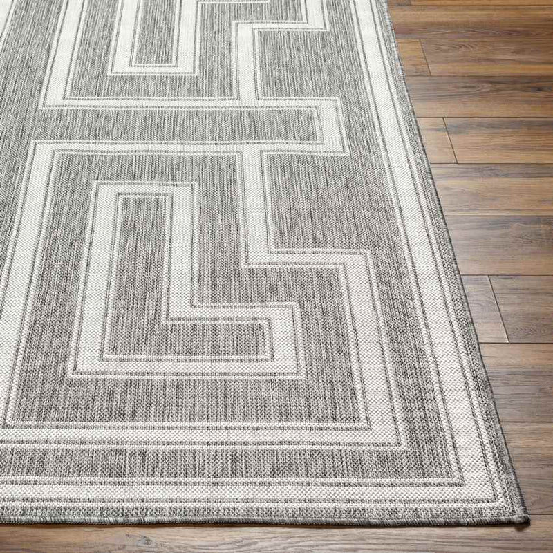 Sylvia Global Dark Gray/Ivory Area Rug