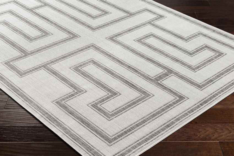 Sylvia Global Ivory/Dark Gray Area Rug