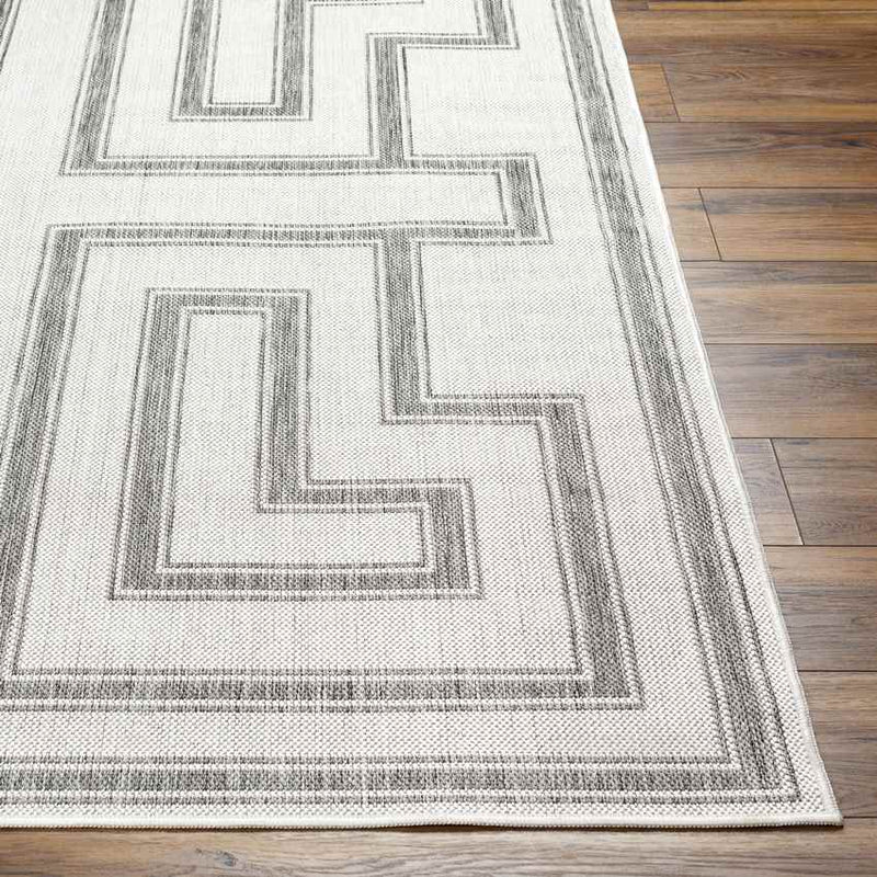 Sylvia Global Ivory/Dark Gray Area Rug