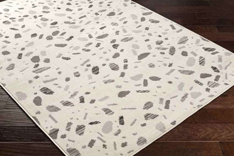 Buckhorn Modern Light Gray Area Rug