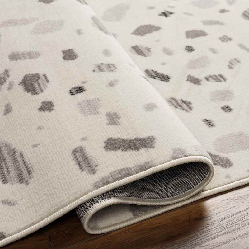 Buckhorn Modern Light Gray Area Rug