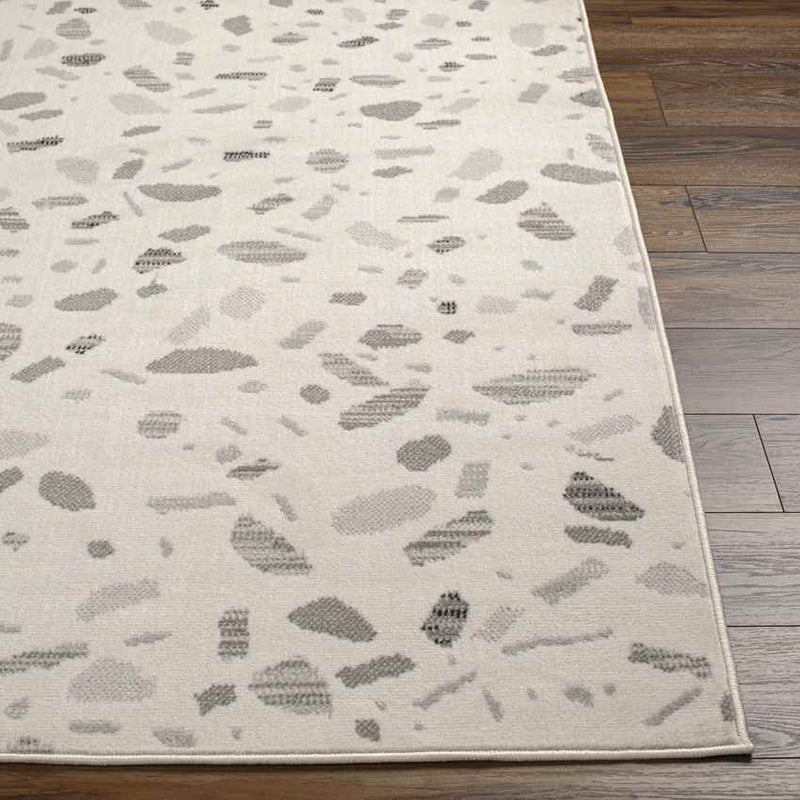 Buckhorn Modern Light Gray Area Rug