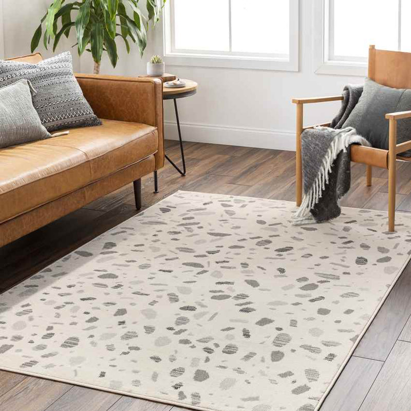 Buckhorn Modern Light Gray Area Rug