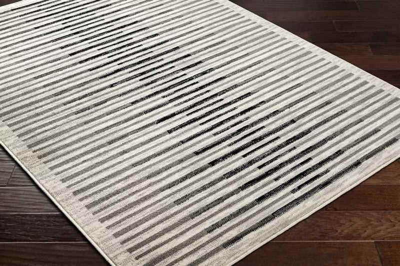 Bucklin Modern Charcoal Area Rug