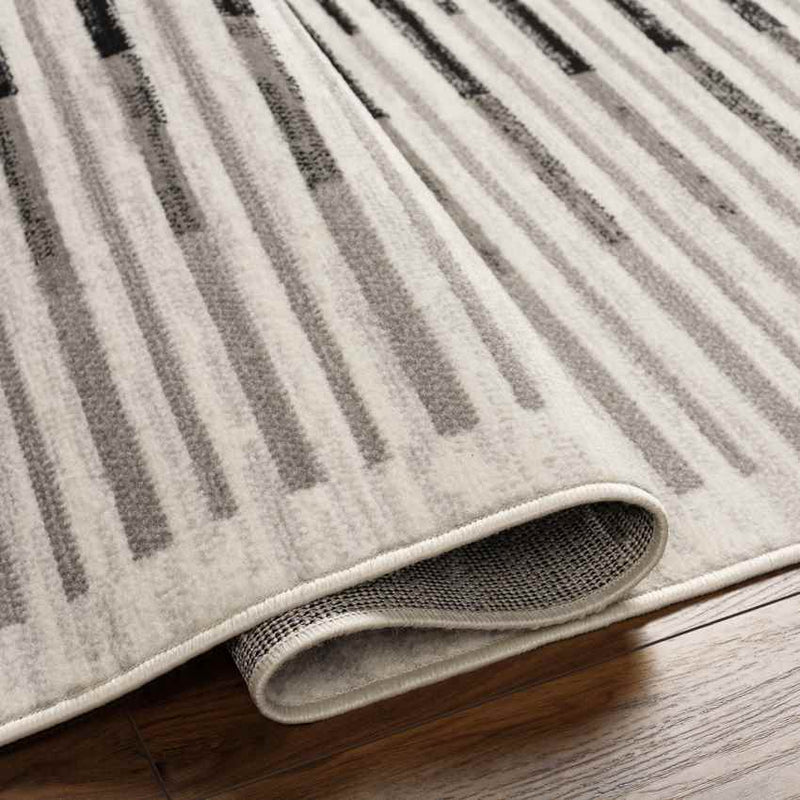 Bucklin Modern Charcoal Area Rug