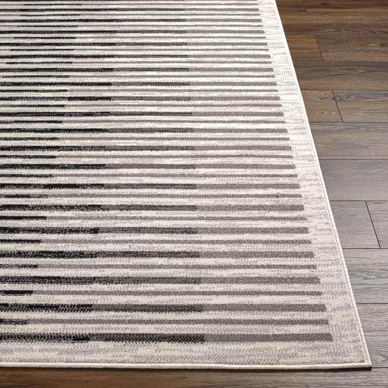 Bucklin Modern Charcoal Area Rug