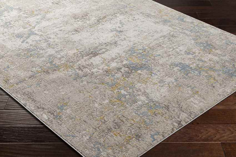 Evarts Modern Beige Area Rug