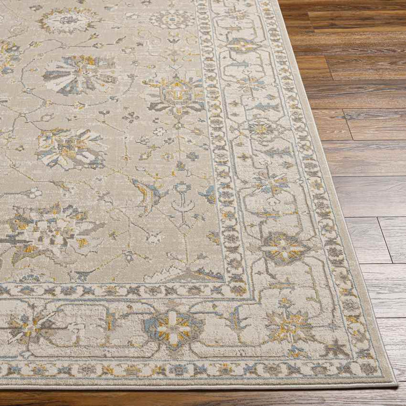 Falls Traditional Taupe Area Rug