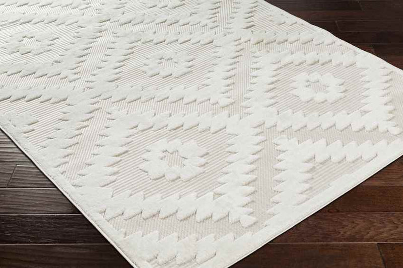 Camanche Modern Ivory Area Rug