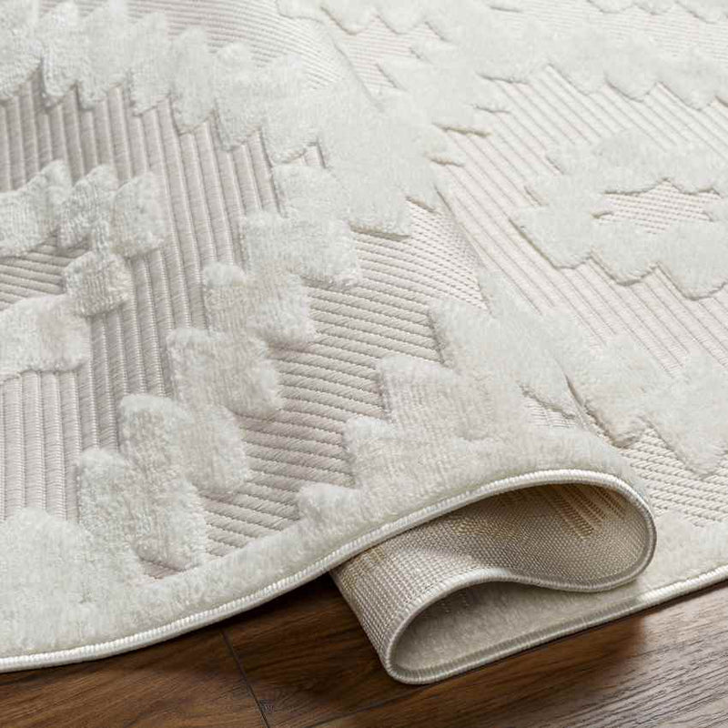 Camanche Modern Ivory Area Rug