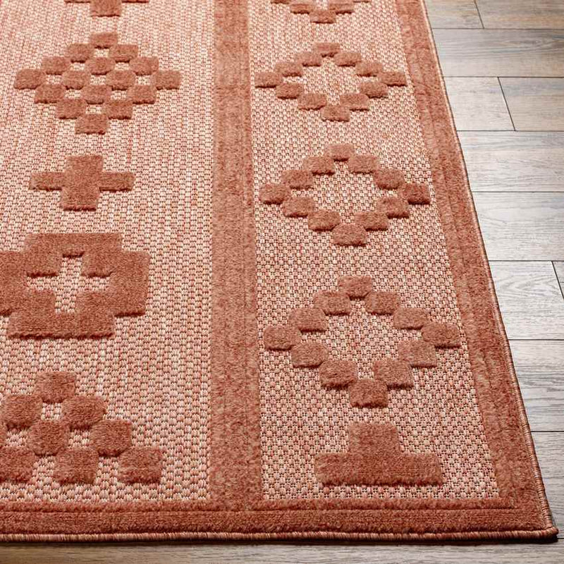 Carpenter Modern Burnt Orange Area Rug