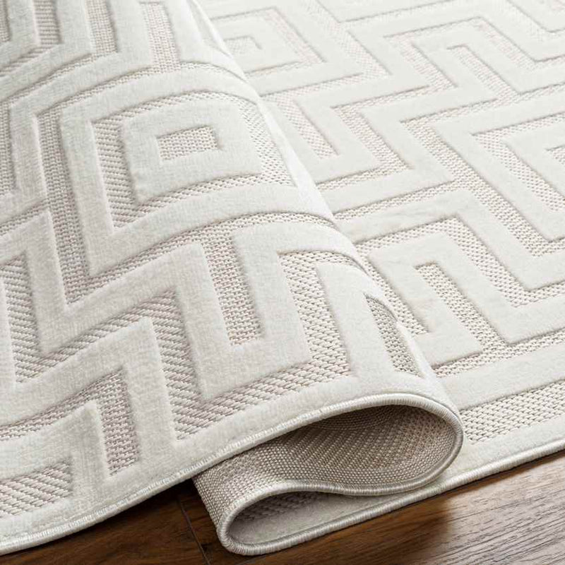 Chanute Modern Beige Area Rug