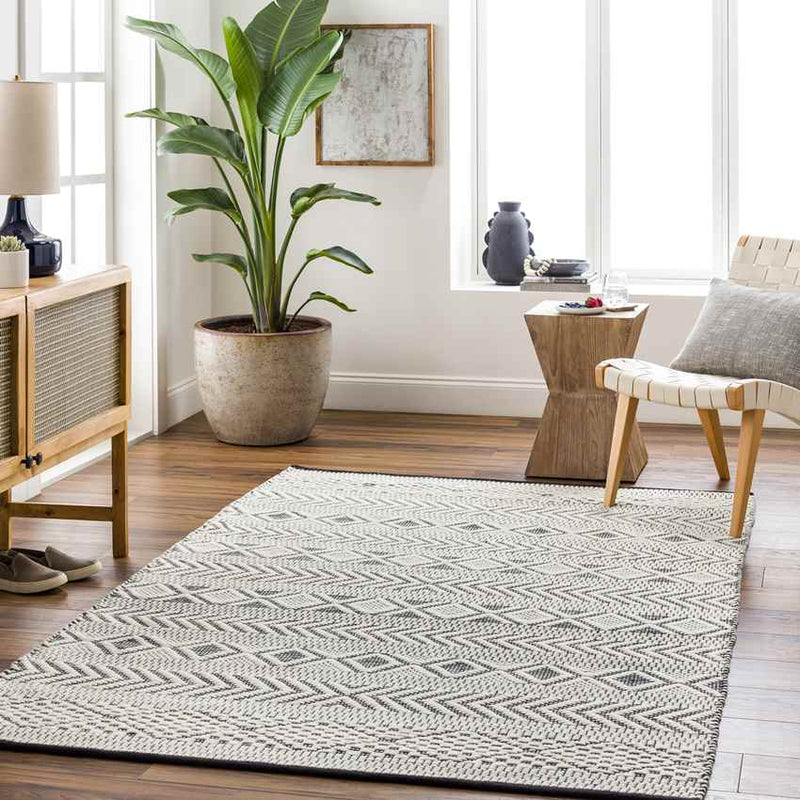 Owensboro Modern Gray Area Rug