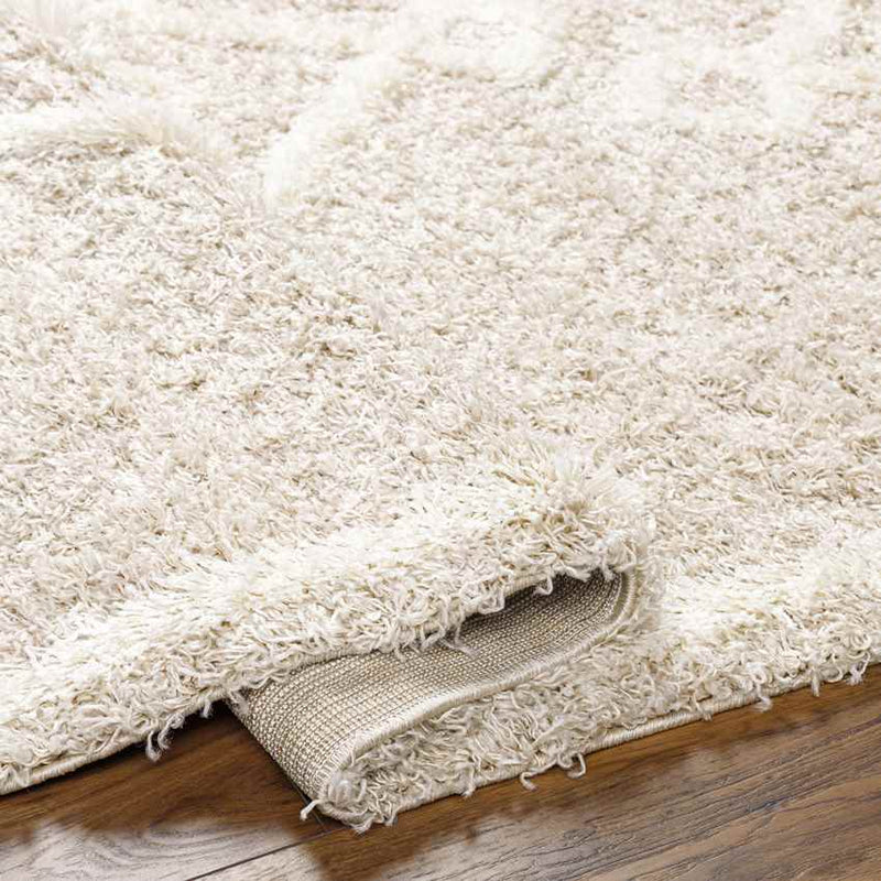 Blackey Modern Beige/Cream Area Rug