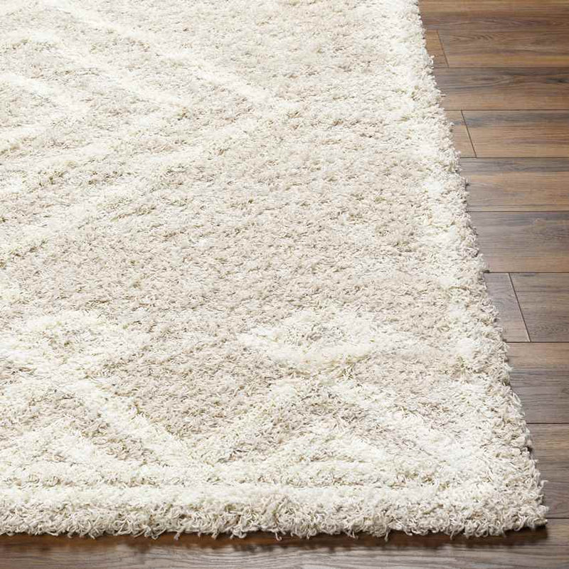 Blackey Modern Beige/Cream Area Rug