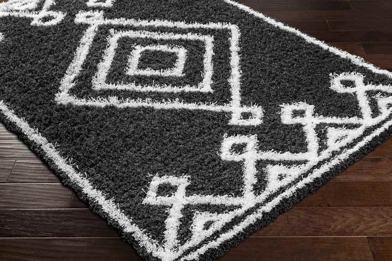 Blaine Modern Black Area Rug