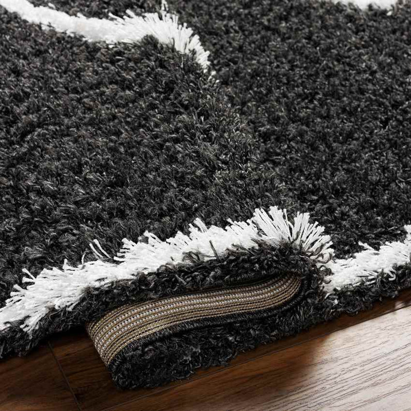 Blaine Modern Black Area Rug