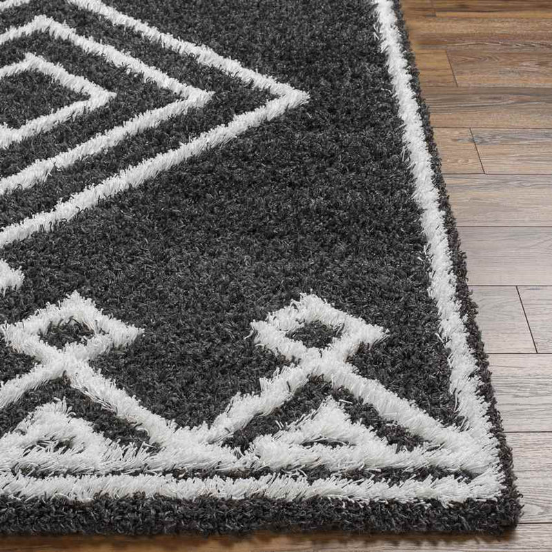 Blaine Modern Black Area Rug