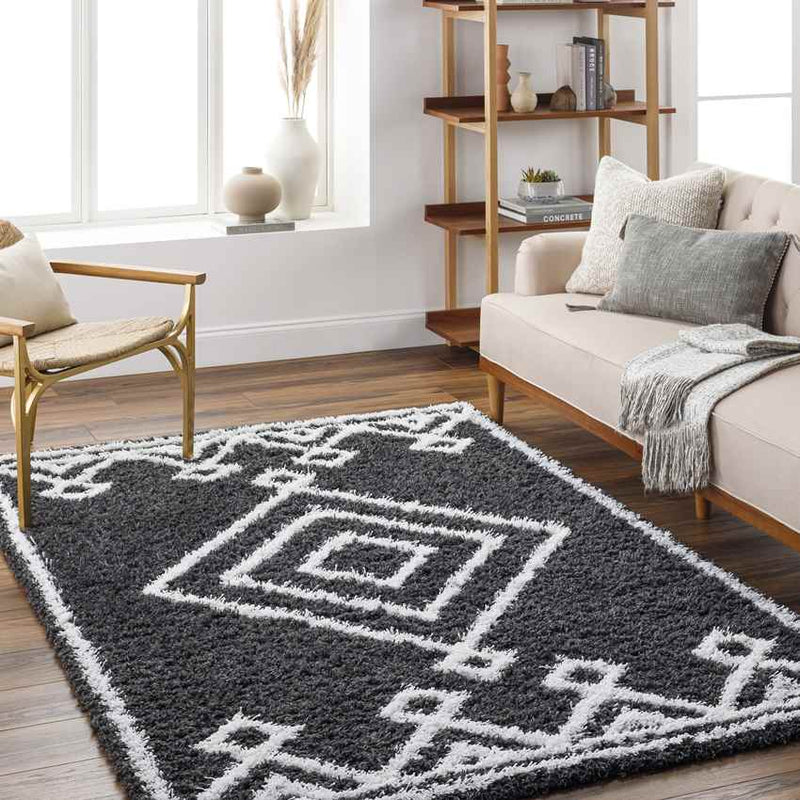 Blaine Modern Black Area Rug