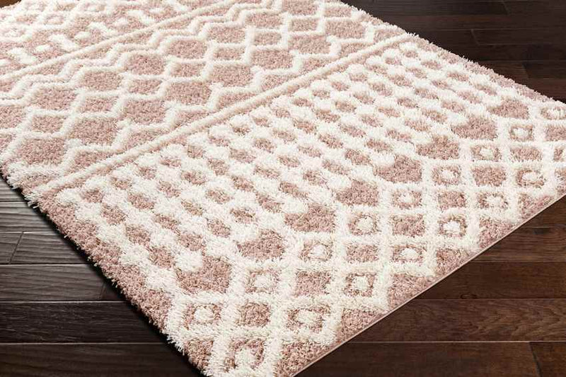 Carter Global Peach Area Rug