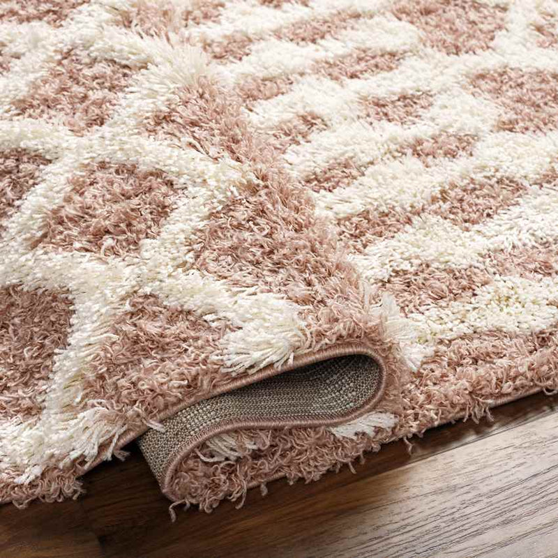 Carter Global Peach Area Rug