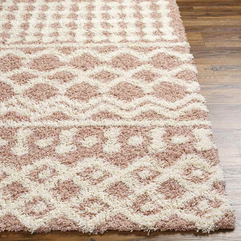 Carter Global Peach Area Rug