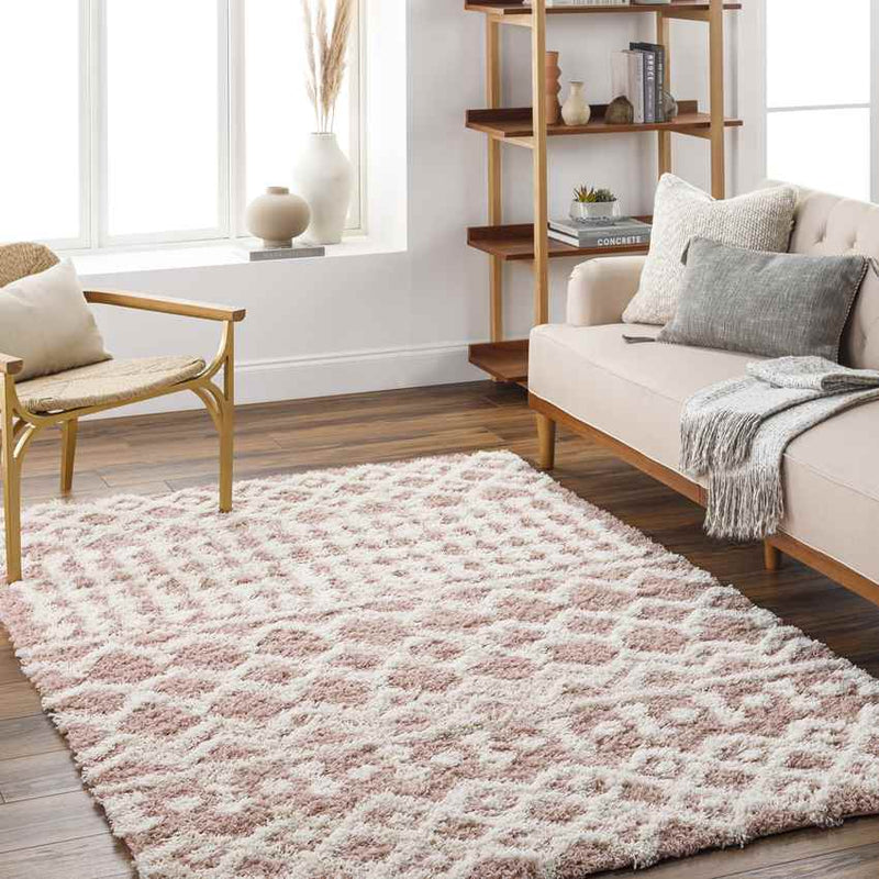 Carter Global Peach Area Rug