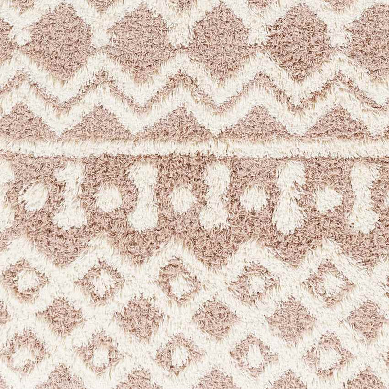 Carter Global Peach Area Rug