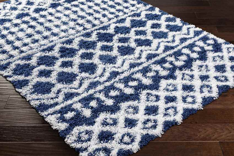 Carter Global Dark Blue Area Rug