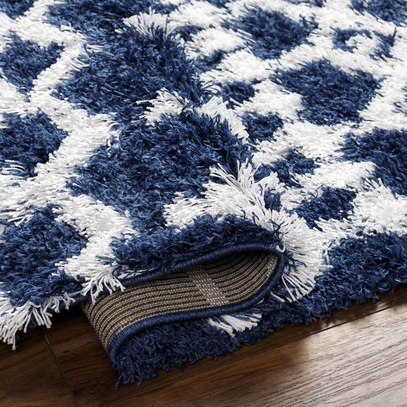 Carter Global Dark Blue Area Rug