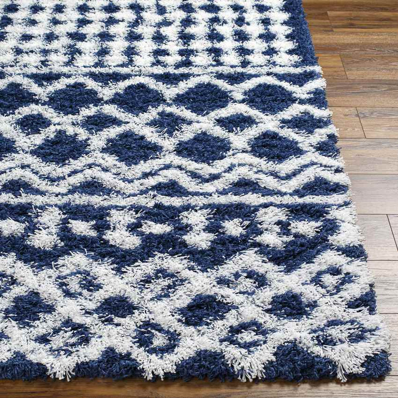 Carter Global Dark Blue Area Rug