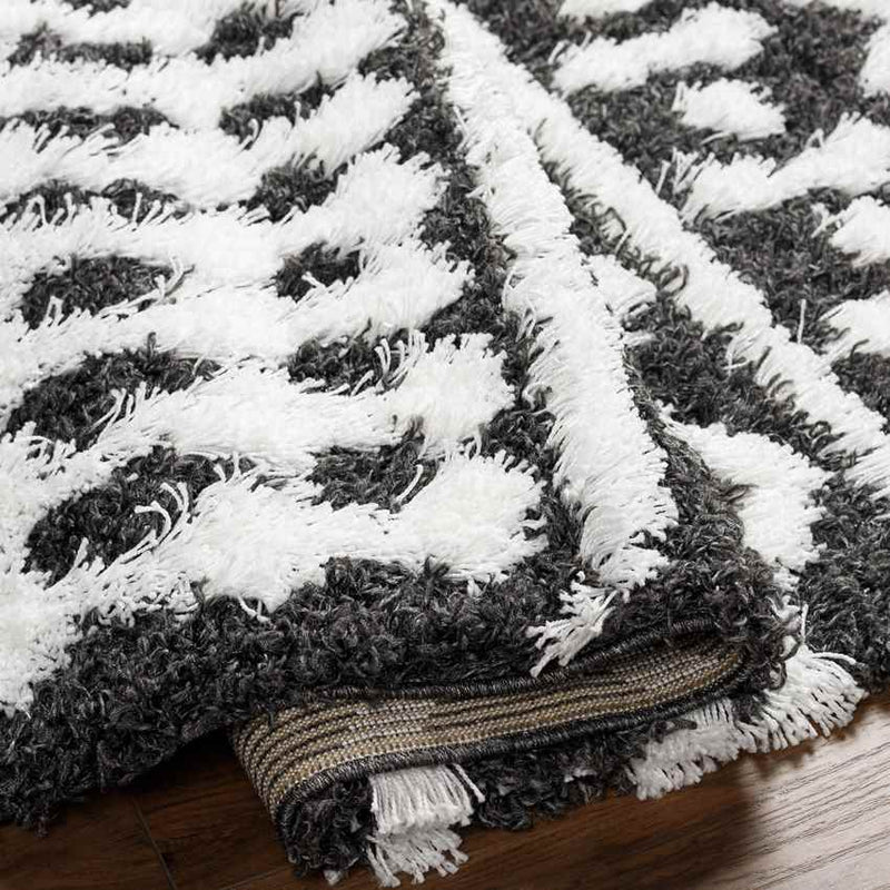 Carter Global Black Area Rug