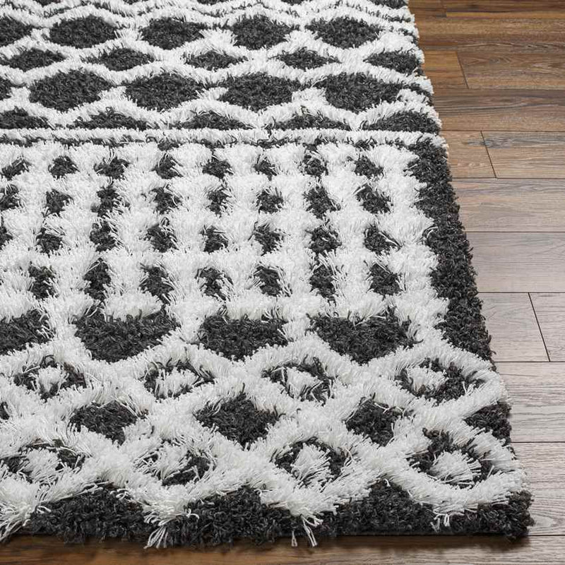 Carter Global Black Area Rug