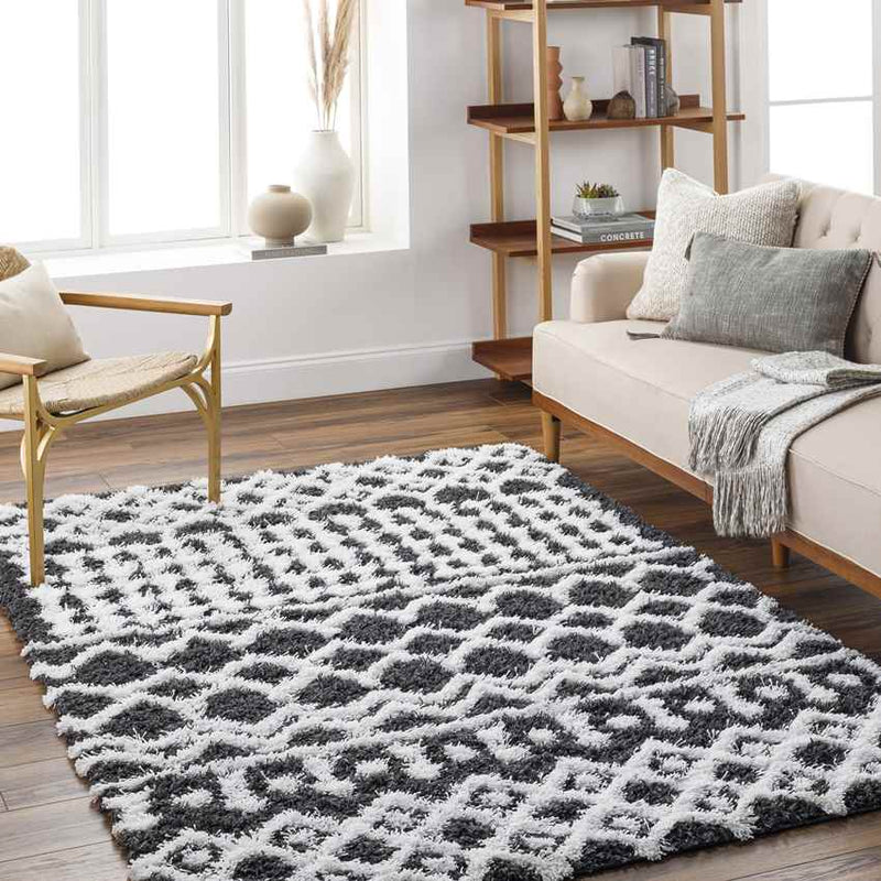 Carter Global Black Area Rug