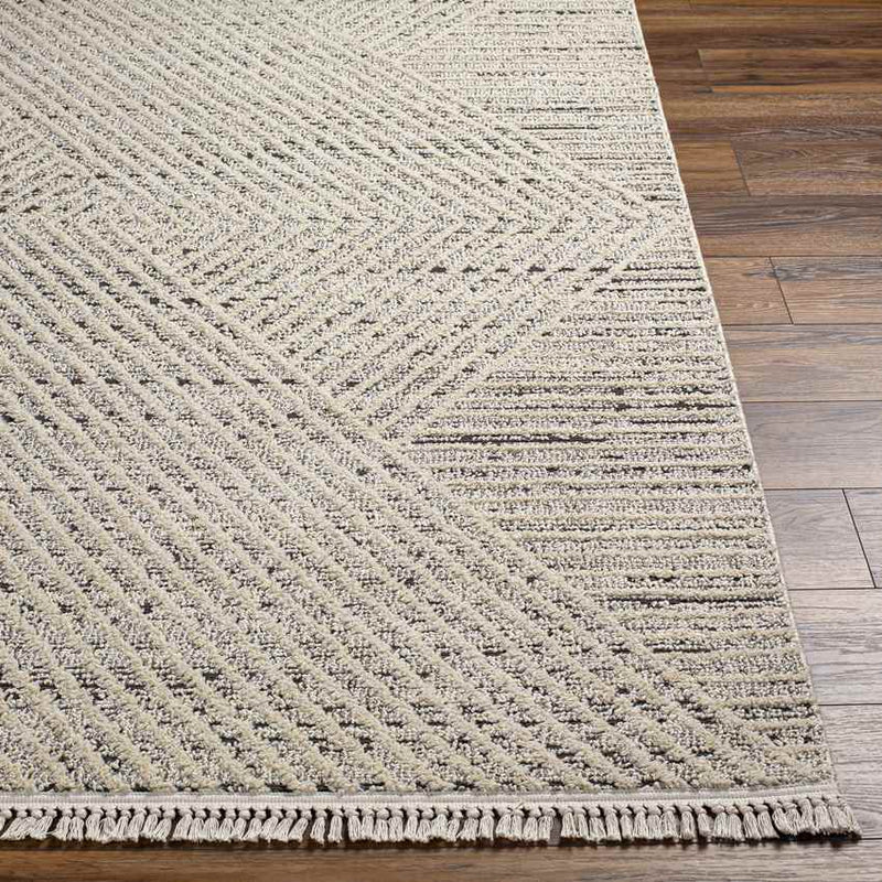 Clearfield Modern Charcoal Area Rug