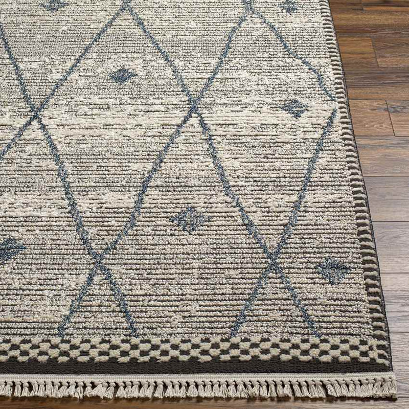 Coon Valley Global Charcoal Area Rug